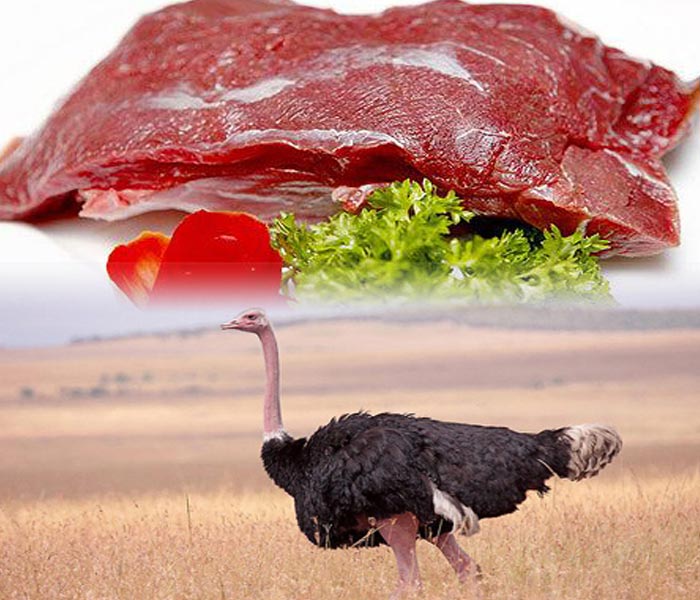 Mua Bán Thịt Đà Điểu